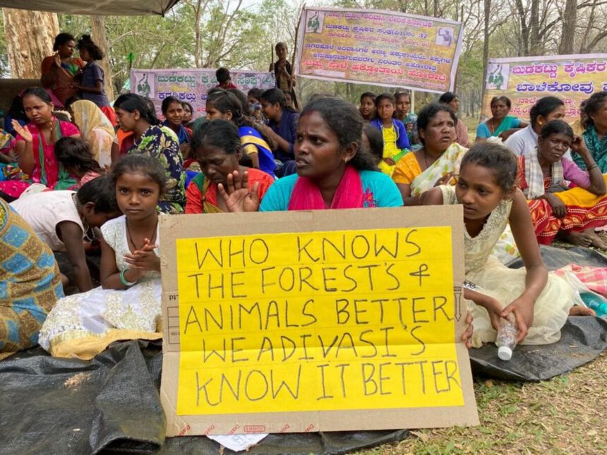India, la comunità Jenu Kuruba sfrattata dalla riserva delle tigri: "Chi conosce la foresta meglio di noi?" 1