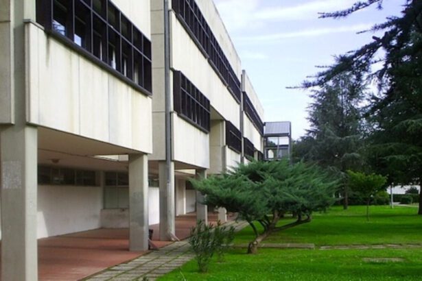 Sale sul tetto della scuola per un selfie e cade, morto 20enne: "Una promessa del calcio" 9