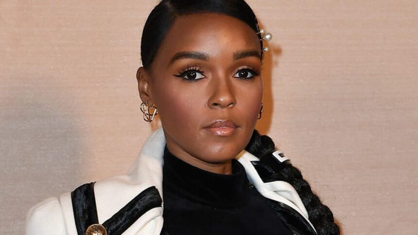 Chi è Janelle Monáe, talentuosa cantante e attrice afroamericana 1