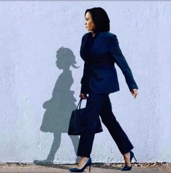 Chi è Kamala Harris, la prima donna vice-presidente degli USA 3 kamala Harris vice presidente