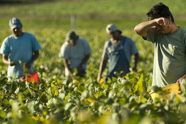 Coronavirus, la salute prima di tutto ma molta gente non sa come mangiare 6