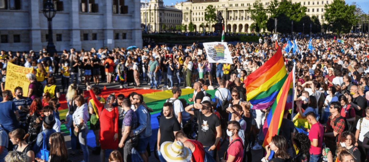 Legge anti Lgbt in Ungheria: "Niente temi omosessuali nelle scuole" 13