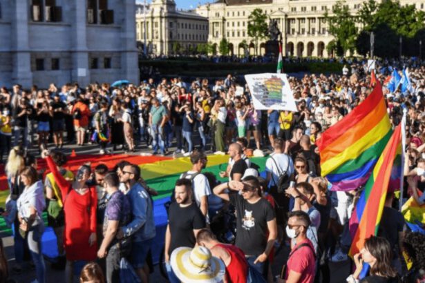 Legge anti Lgbt in Ungheria: "Niente temi omosessuali nelle scuole" 15