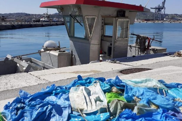 Mascherine e guanti in mare: "40 mila kg di plastica in natura, è allarme ambientale" 14