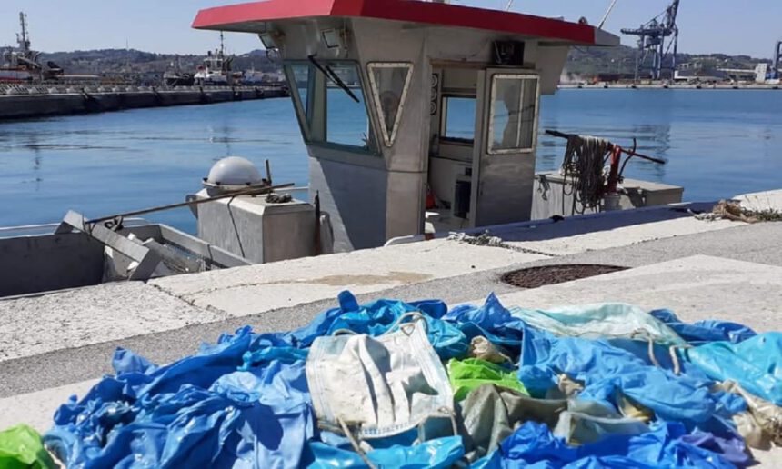 Mascherine e guanti in mare: "40 mila kg di plastica in natura, è allarme ambientale" 1