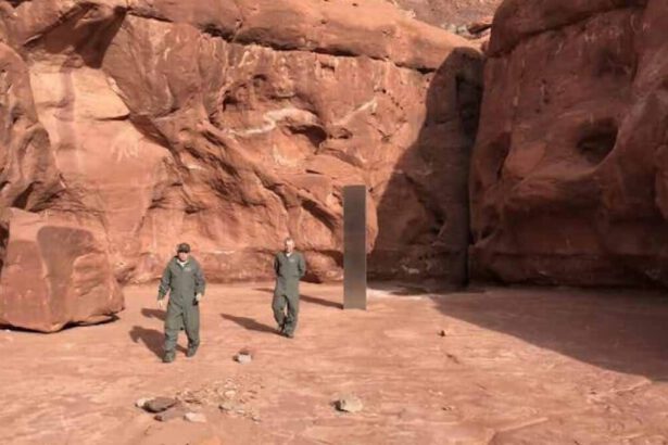 Usa, un monolite nel deserto dello Utah ed è subito "2001: Odissea nello spazio" 15