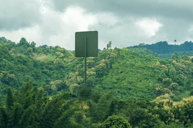 Elettricità wireless: dalla Nuova Zelanda la rivoluzionaria trasmissione senza fili 17