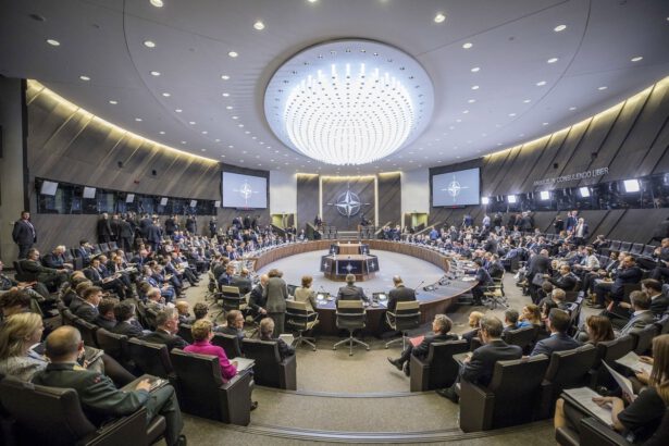 La Russia accusa la Nato: "Vogliono schierare missili nucleari in Europa" 5