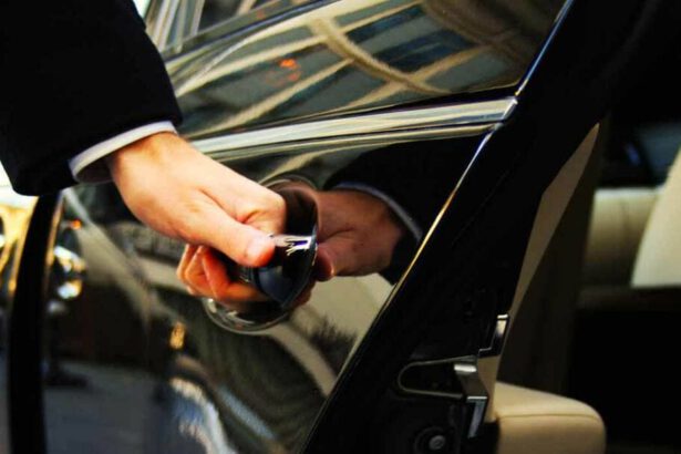 L’autista NCC: “Molti imprenditori bergamaschi tornavano dalla Cina senza fare quarantena” 11