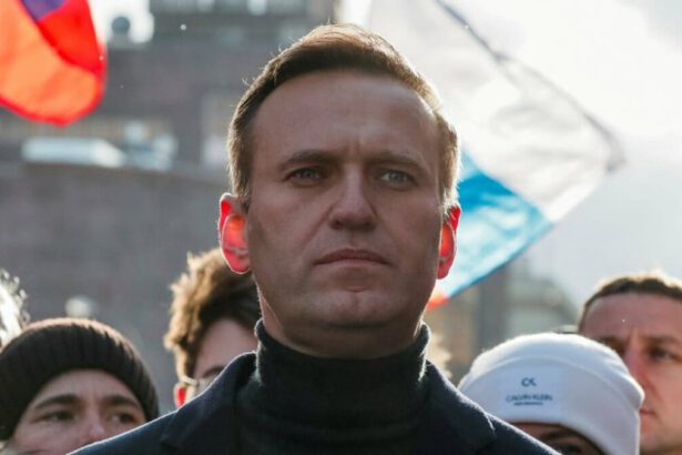 Navalny avvelenato dai servizi segreti russi: la confessione di un agente dell'FSB 13