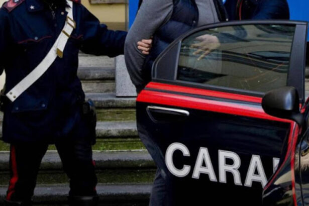 Ndrangheta, 49 arresti in tutta Italia. Ai domiciliari il sindaco di Rosarno 16