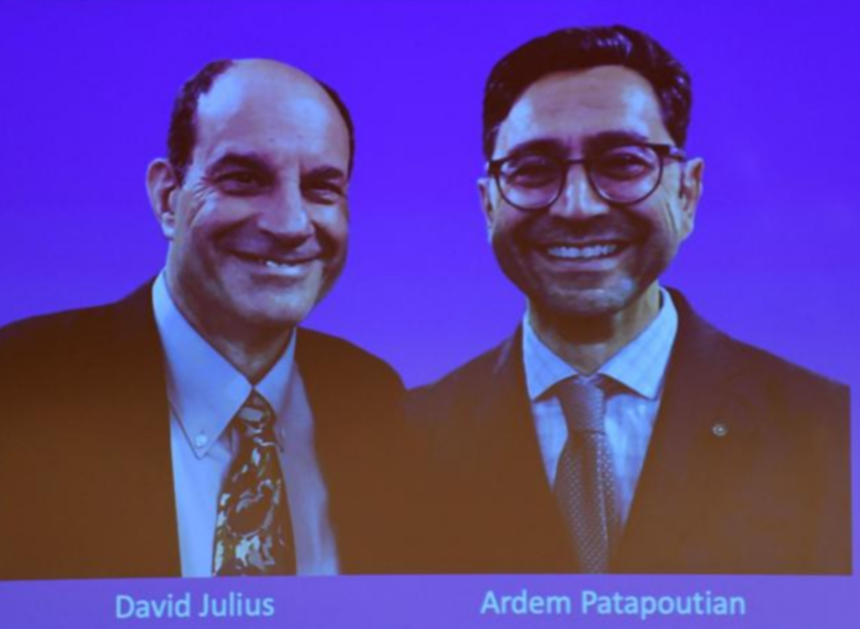 Nobel Medicina 2021: vittoria degli americani con la scoperta sui recettori di temperatura e tatto 2 Nobel Medicina 2021: vittoria degli americani con la scoperta sui recettori di temperatura e tatto 1