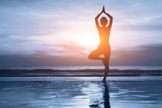 Olistico significato del termine e campi di applicazione 6