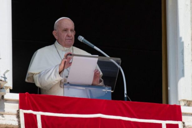 Papa Francesco: "Il consumismo ci ha sequestrato il Natale, riscopriamone il reale valore" 14