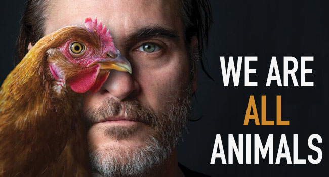 Non solo Joker, Joaquin Phoenix è il più influente attivista per gli animali del 2019 5