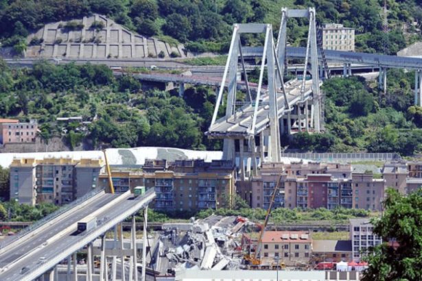 La Consulta: "Legittimo escludere Autostrade da ricostruzione Morandi" 11