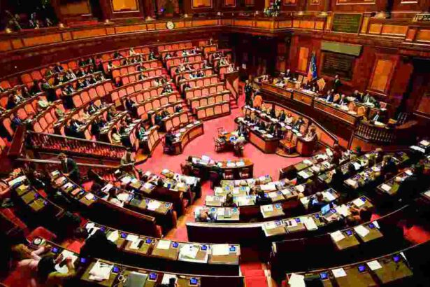 Sì del Senato al Protocollo Unico raccomandato dai medici di Terapia Domiciliare Covid-19 11