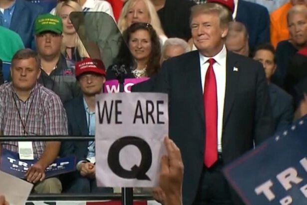 QAnon, la nuova culla americana di complotti e bugie che elegge Donald Trump salvatore del mondo 6