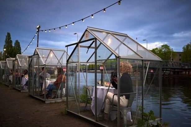 Ristorazione ai tempi del Covid: 10 bizzarre soluzioni per continuare a lavorare 6