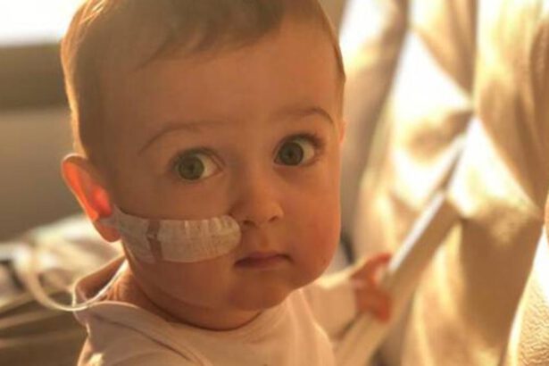 Riuscito il trapianto del piccolo Alex: il bimbo sarà dimesso 18