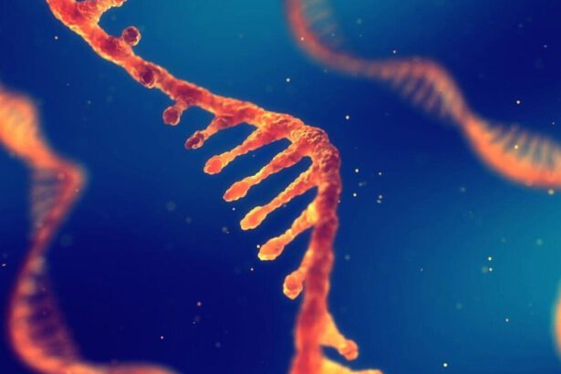 Coronavirus, le cellule umane hackerano il virus per impedirne la riproduzione 7