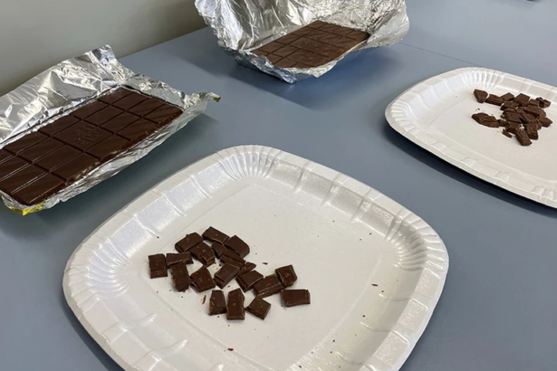 Nasce in Svizzera il cioccolato artificiale per salvare il Pianeta e i minori dallo sfruttamento 19