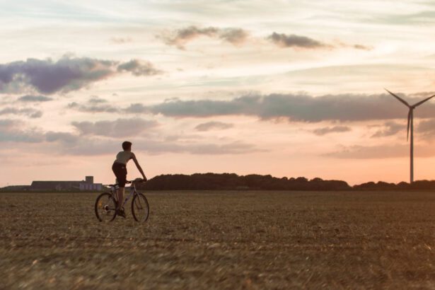 Cingolani, senza rinnovabili possiamo dire addio ai comfort di oggi 7