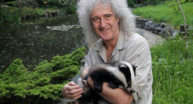 Coronavirus, Brian May: “Mangiare animali ci ha messo in ginocchio” 1