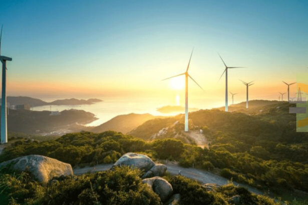 È Sydney la prima città al mondo alimentata al 100% da energia rinnovabile 14