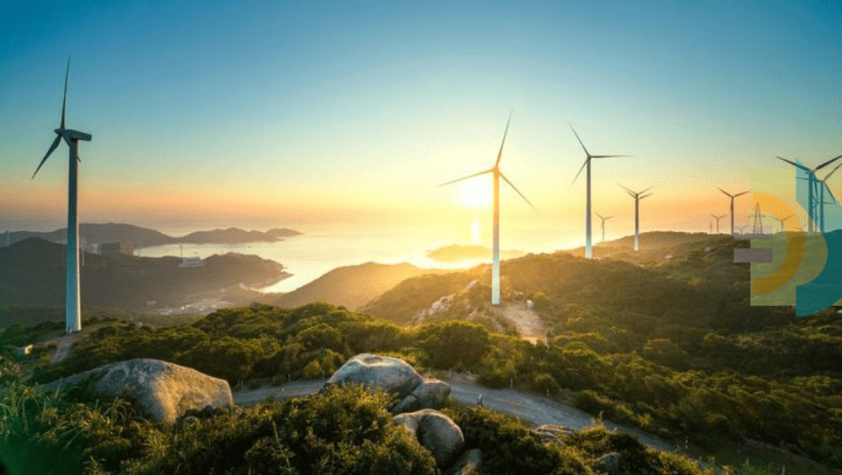 È Sydney la prima città al mondo alimentata al 100% da energia rinnovabile 1