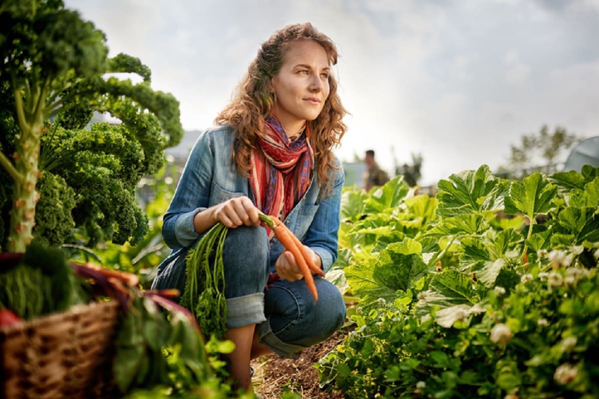 Svolta green, con la pandemia un italiano su 4 sceglie la sostenibilità 19