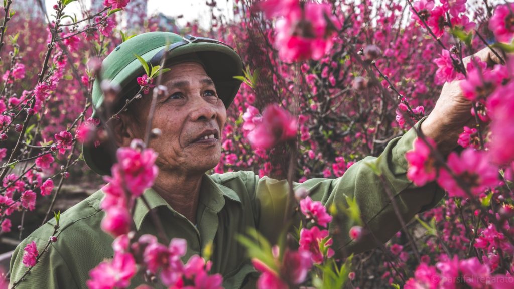 Vi racconto il Tết: cos'è il capodanno lunare in Vietnam 3