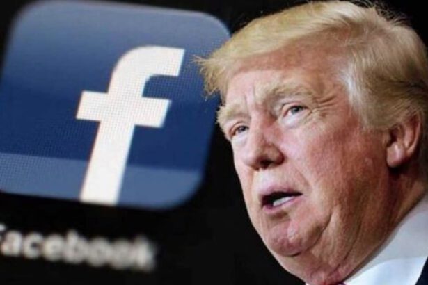 Trump, per la prima volta Facebook gli rimuove un post 21