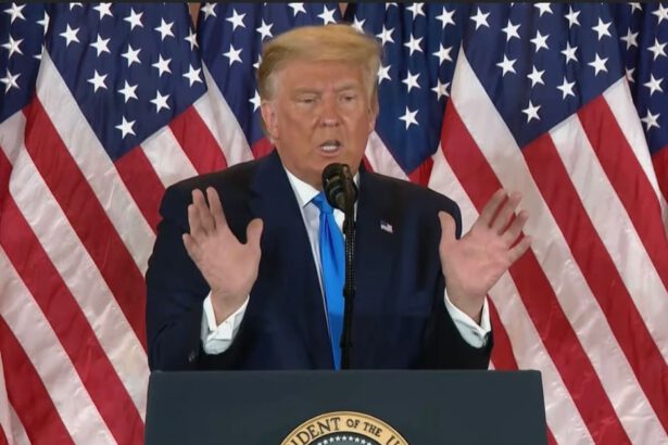 Elezioni USA - Biden in vantaggio ma Trump denuncia brogli 9