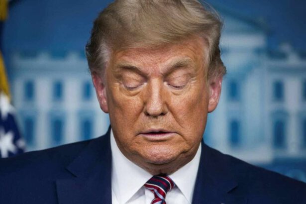 Trump riconosce la sconfitta delle elezioni: “Ci sarà una nuova amministrazione” 10