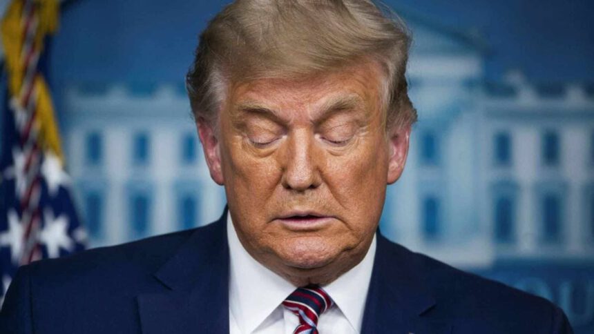 Trump riconosce la sconfitta delle elezioni: “Ci sarà una nuova amministrazione” 1