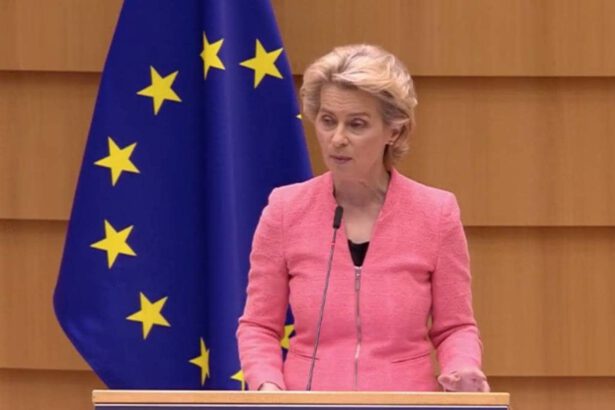 Recovery Plan, Ursula Von der Leyen: “Almeno il 20% dei fondi per la transazione digitale” 16