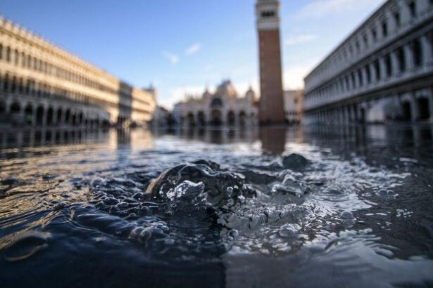 Come salvare Venezia e le altre città costiere dai cambiamenti climatici 14