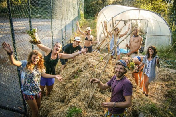 Cos'è il fenomeno Wwoofing: giri il mondo lavorando in fattoria 13