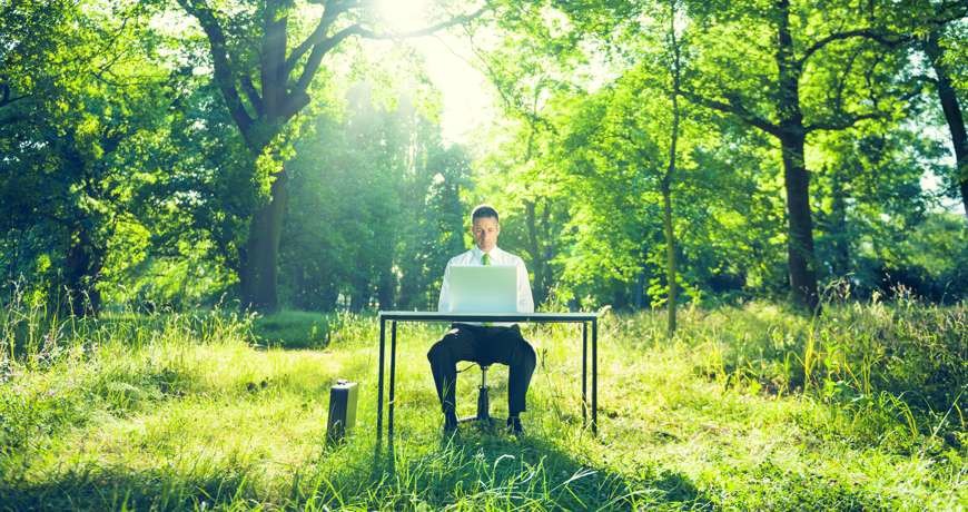 Green economy: l'emergenza ambientale porterà oltre 3 milioni di posti di lavoro 19