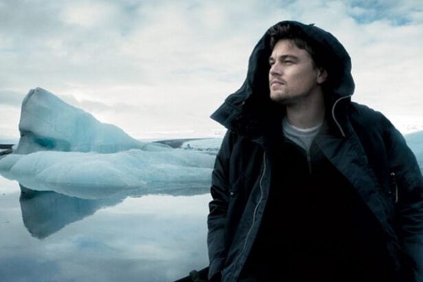 Leonardo Di Caprio sui cambiamenti climatici: "È il momento di smetterla con le parole" 18