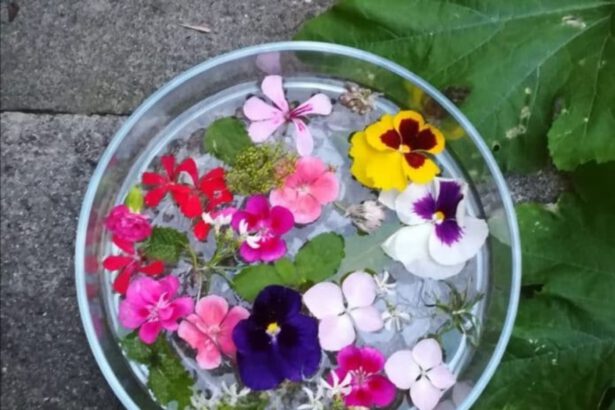 San Giovanni: la notte delle streghe tra riti propiziatori e Covid 9