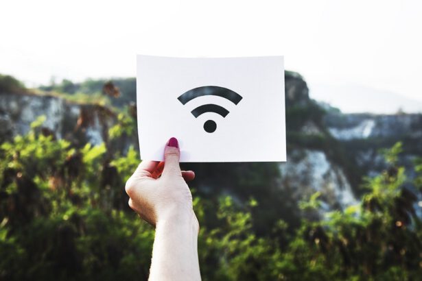 "L'accesso a Internet è diritto di tutti": perché in Italia 16 milioni ancora non si collegano? 19