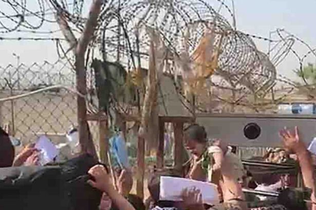 Afghanistan nel caos: "Donne lanciano bambini oltre il filo spinato". Arriva il governo dei talebani 7