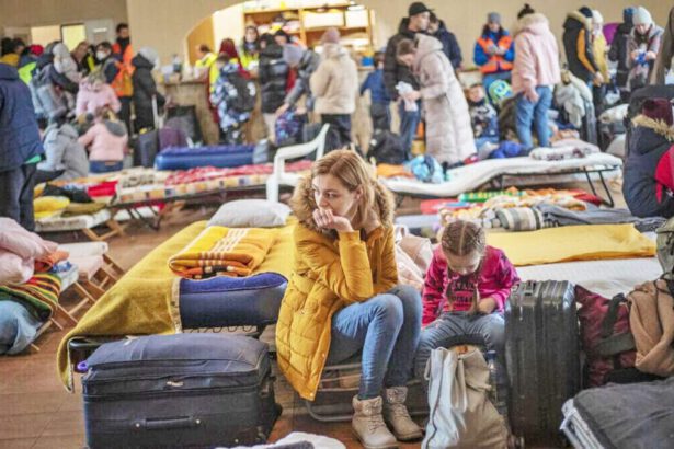 Aiutiamo i profughi ucraini: come si sta preparando l'Italia 11