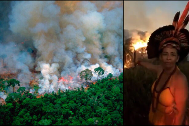 "Voglio che tutti i media vedano questo", la Foresta Amazzonica brucia. Ecco come possiamo salvarla 12