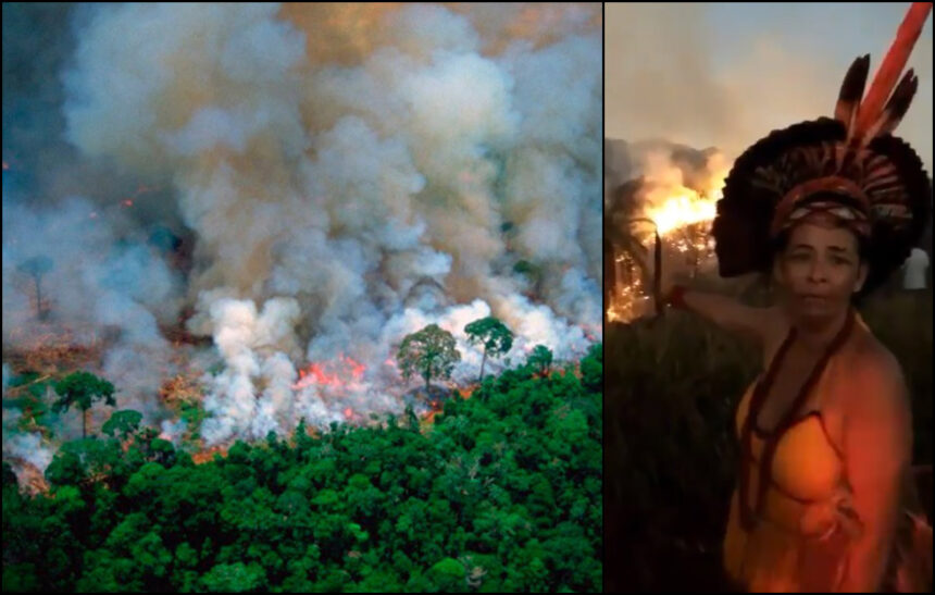 "Voglio che tutti i media vedano questo", la Foresta Amazzonica brucia. Ecco come possiamo salvarla 1