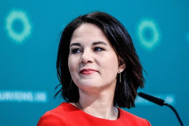 Post Merkel: chi è Annalena Baerbock, candidata dei Verdi alla cancelleria in Germania 5