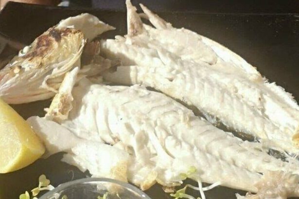 Assaggia il pesce mentre sta cucido: muore soffocata un'anziana signora 18