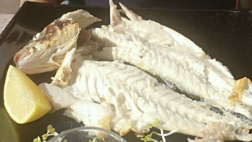 Assaggia il pesce mentre sta cucido: muore soffocata un'anziana signora 1